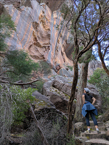 Mit dem Camper durch Australien